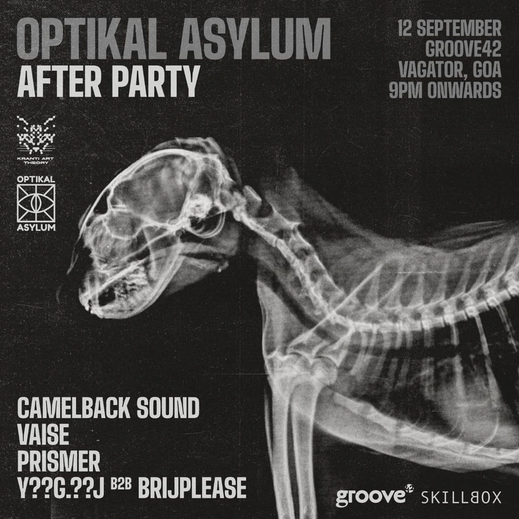 Optikal Asylum Turns 2 - Goa After Party
